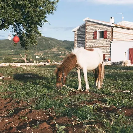Masseria Piana Della Macina 住宿加早餐酒店 圣尼坎德罗加尔加尼科